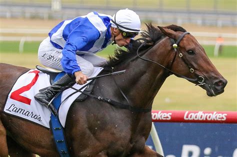 stradbroke handicap 2022|2022 Stradbroke Handicap Results: Alligator Blood .